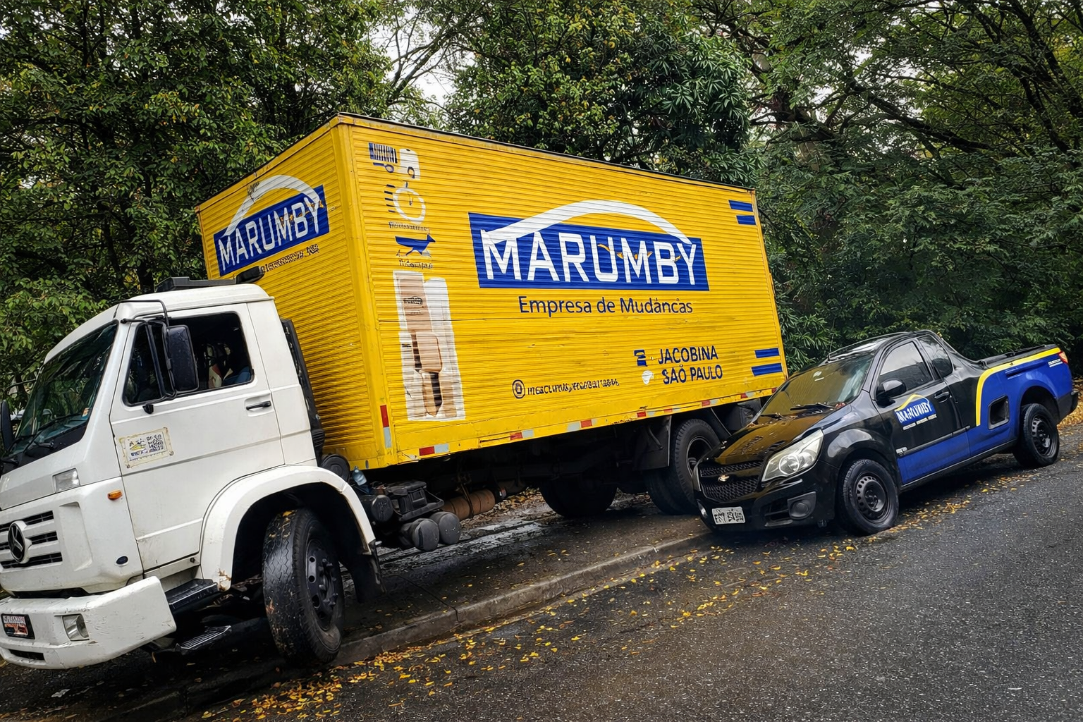 ChatGPT Image 24 de fev. de 2026, 16_56_55